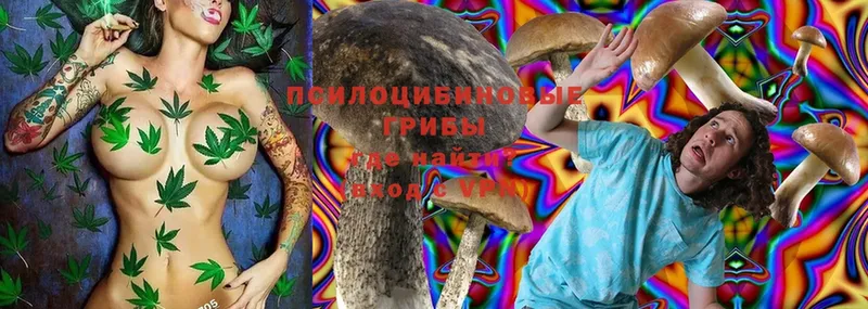 Галлюциногенные грибы MAGIC MUSHROOMS  Мурманск 